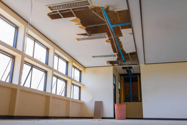 Best Water damage restoration near me  in Wakefield, VA