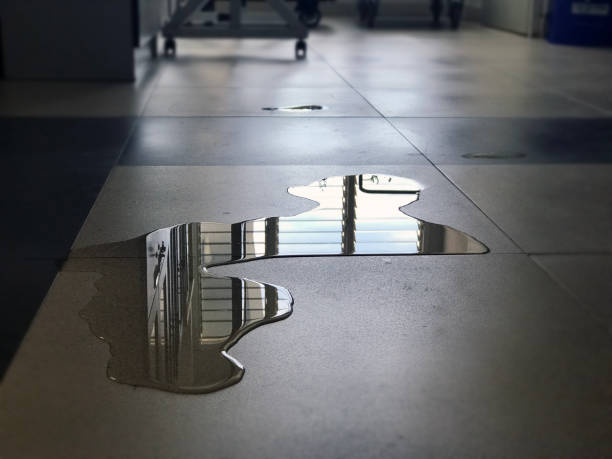 Best Water damage restoration experts  in Wakefield, VA