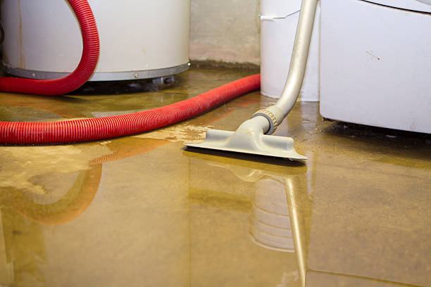 Best Water damage restoration near me  in Wakefield, VA